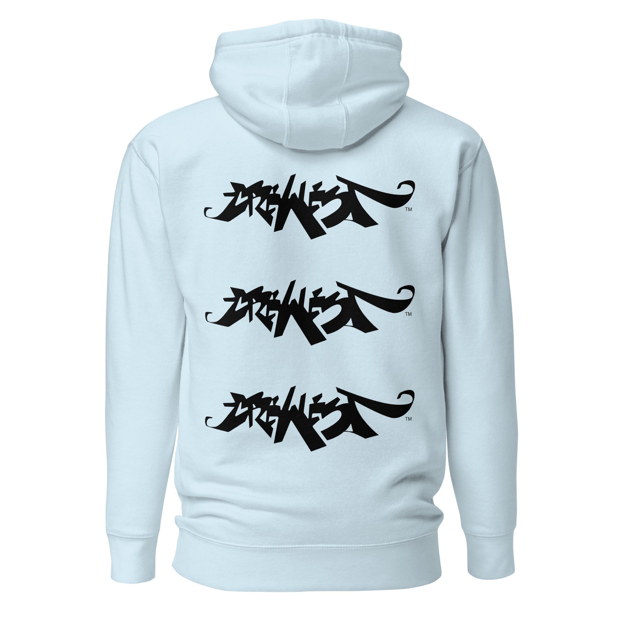 unisex-premium-hoodie-sky-blue-back-685b546b8ea17.jpg