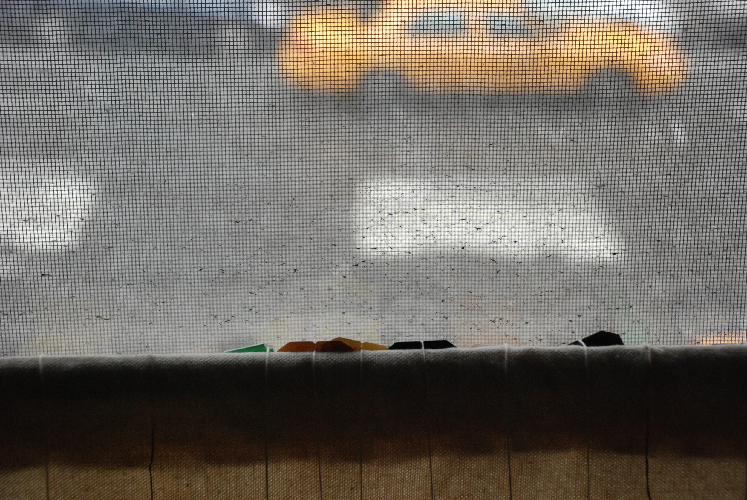 día indeciso 048.JPG