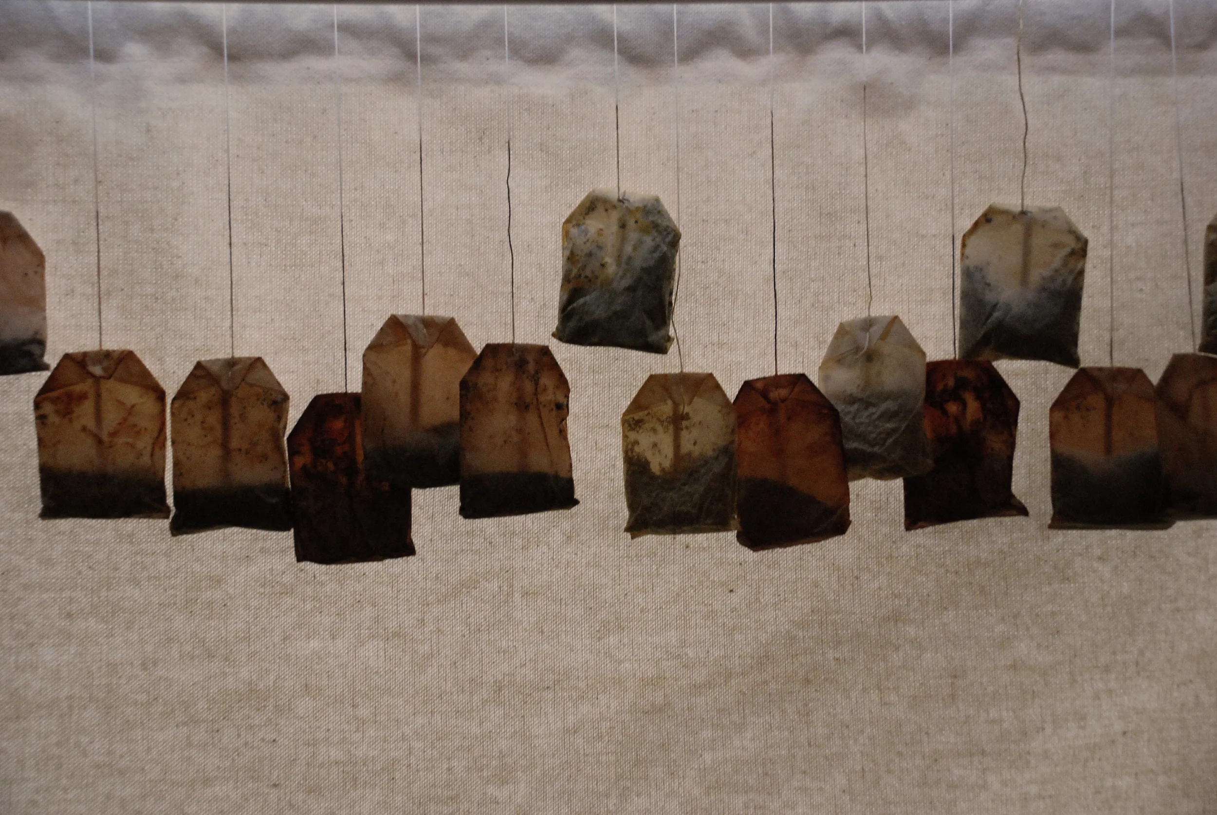 2008-0207 'round the city 052_amarillo.jpg