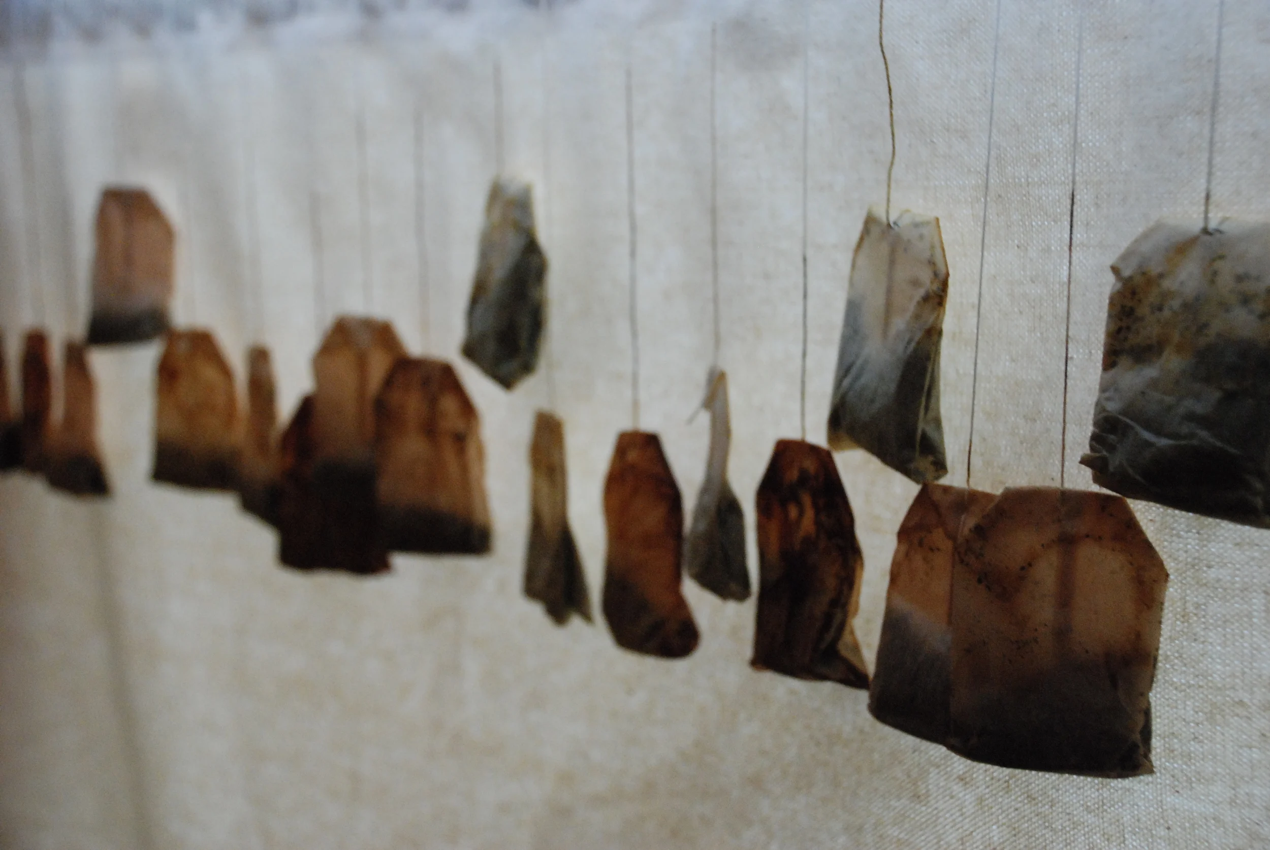 2008-0207 'round the city 055.JPG