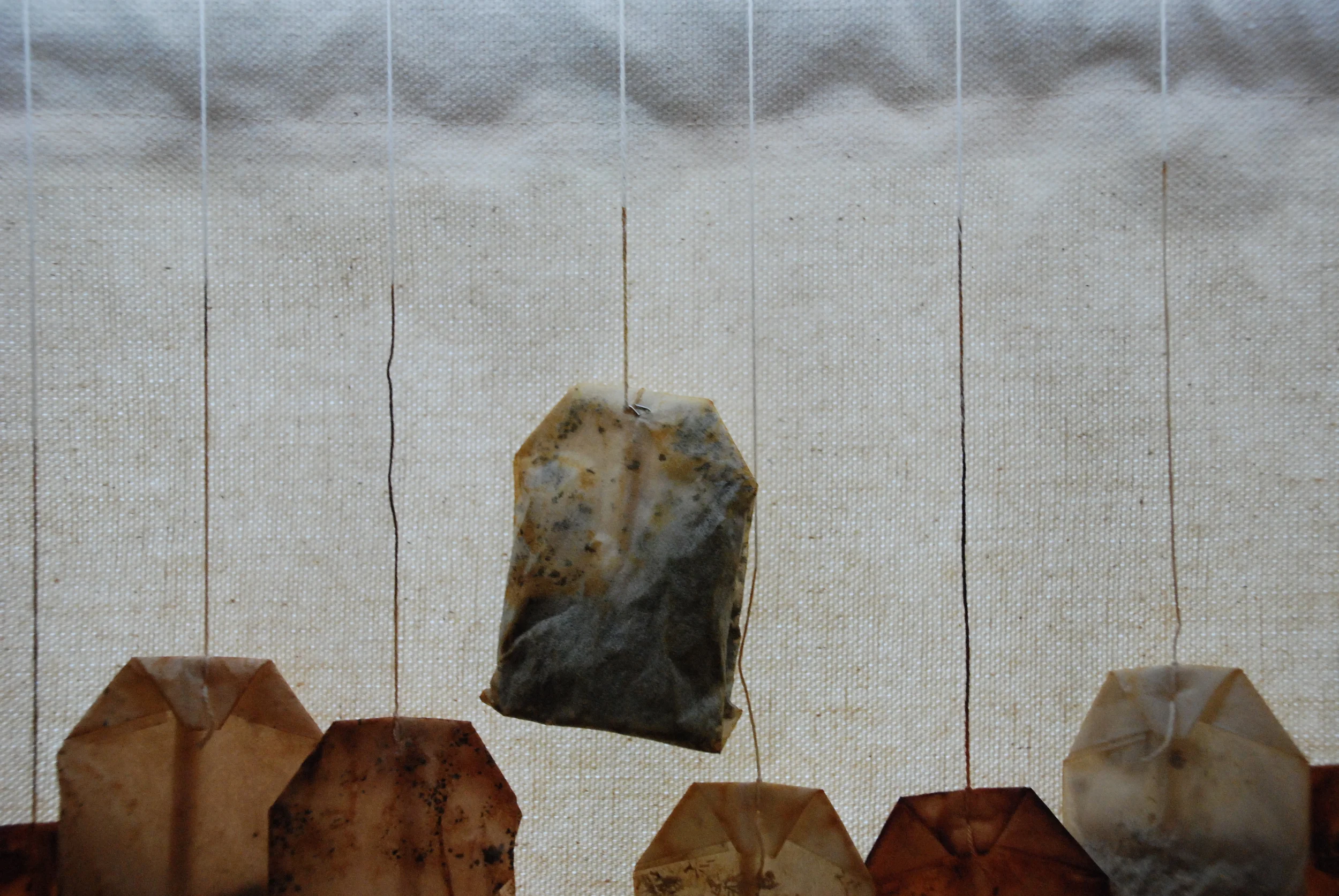 2008-0207 'round the city 058.JPG