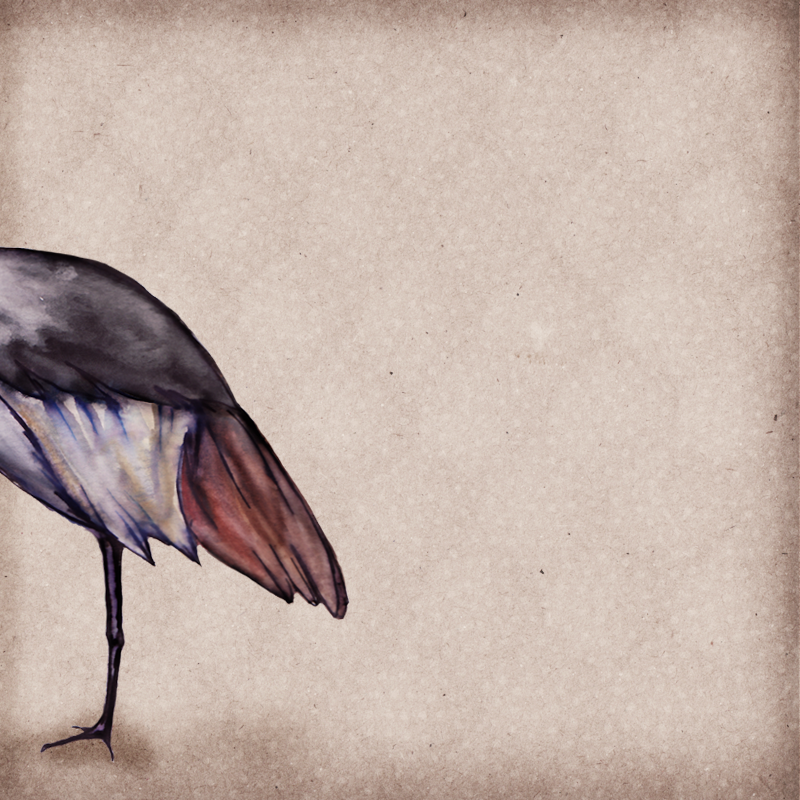 garza coronada right.png