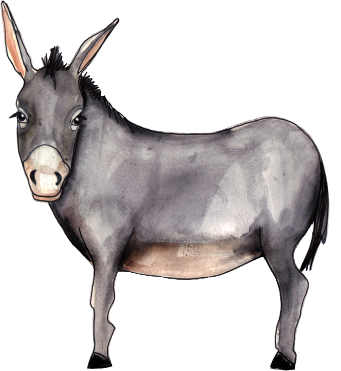 burro logo.png