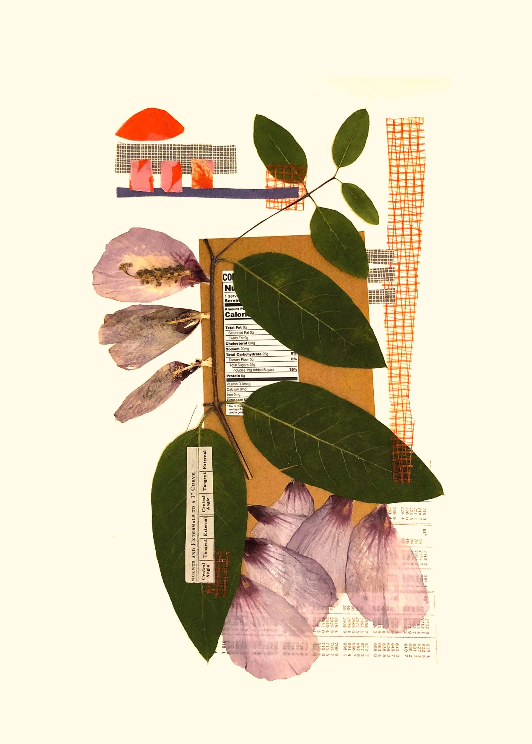 Front Page of Fanzine _Las Cosas Naturales_.jpg