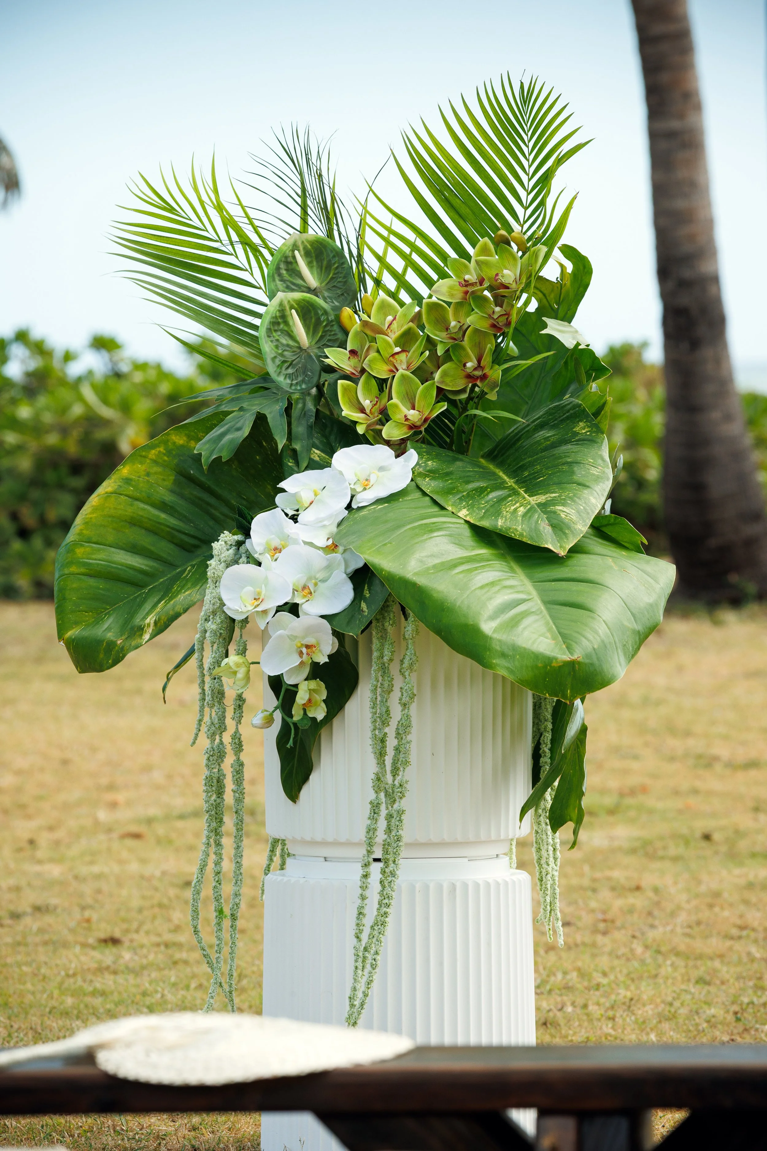 Phalaenopsis Flowers