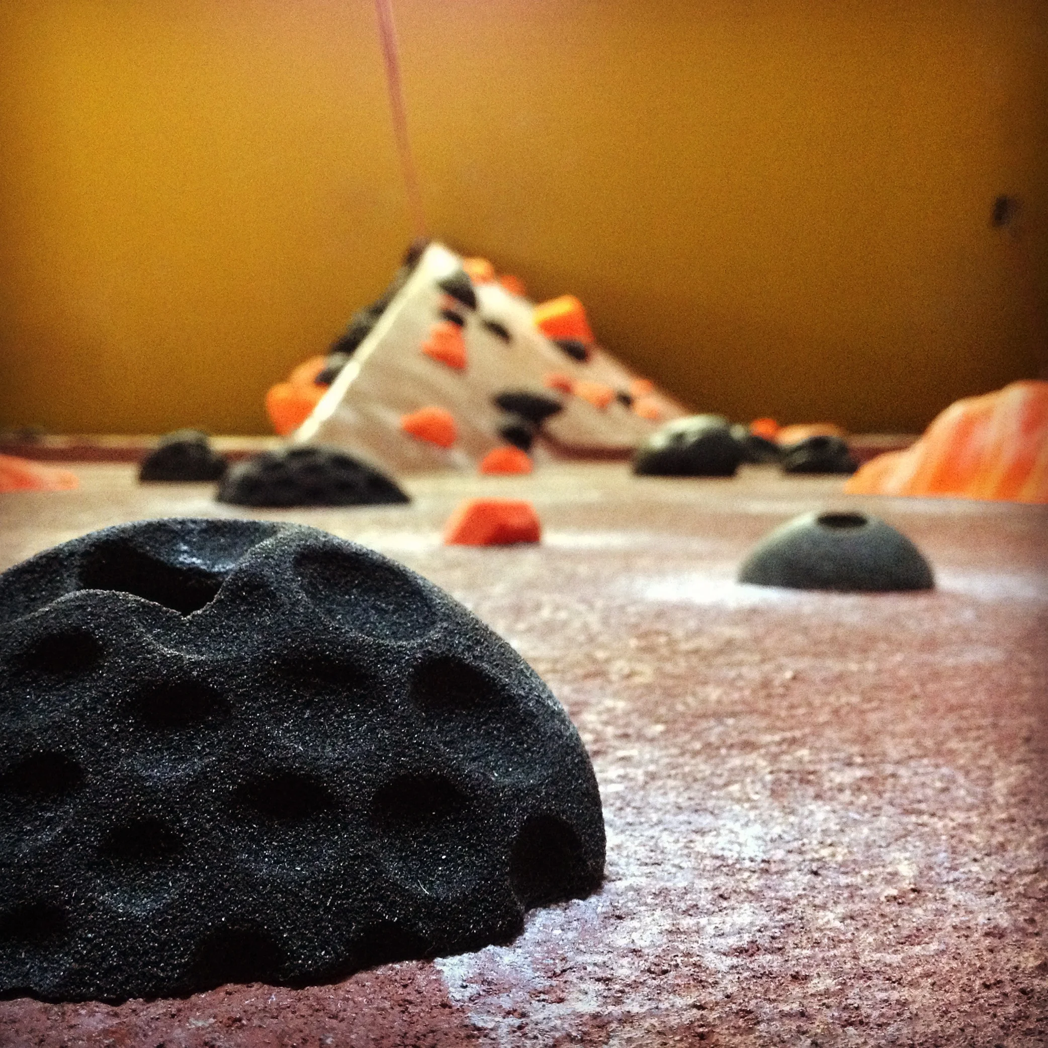 2014-10-29 13.33.10.jpg