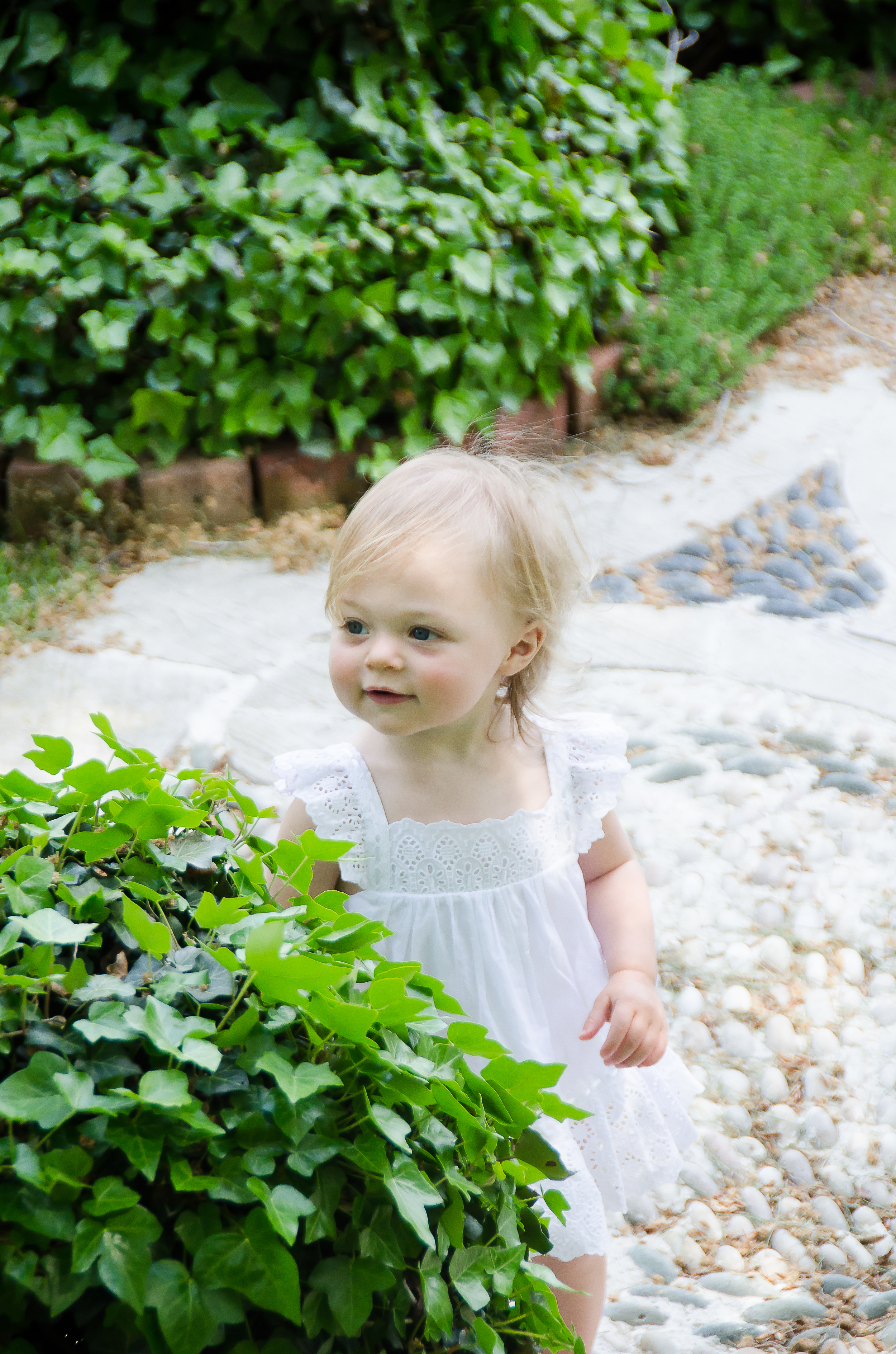 CMS_0584-72.JPG