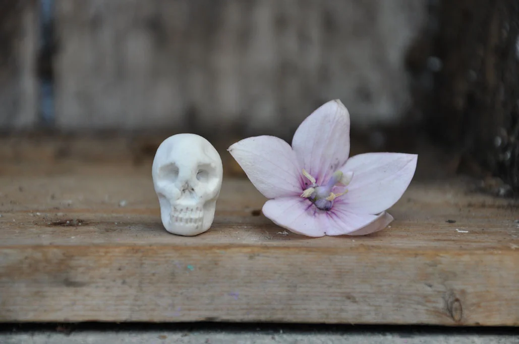 skull 3.jpg