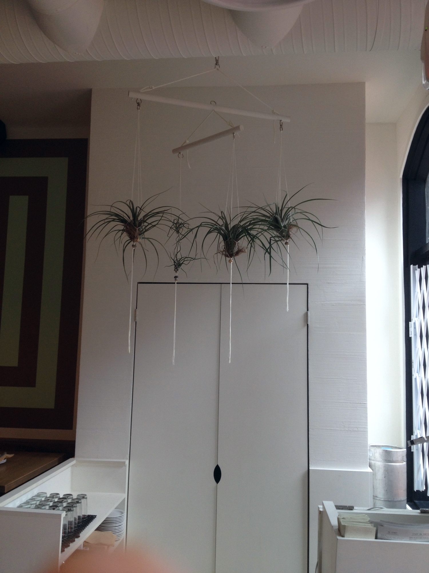 Shiloh Sukkau's air plant mobile