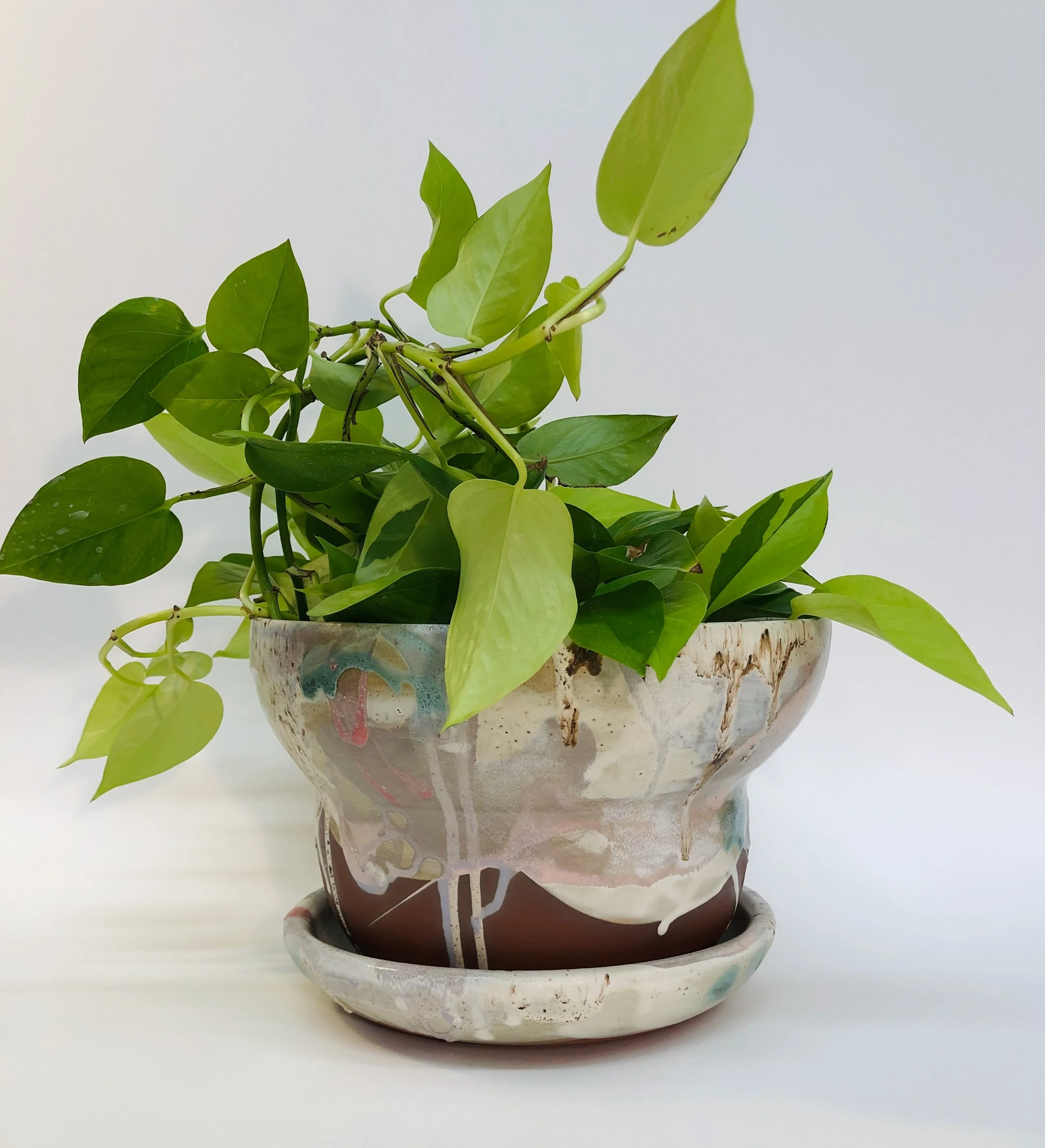 Planter_curvy.jpeg