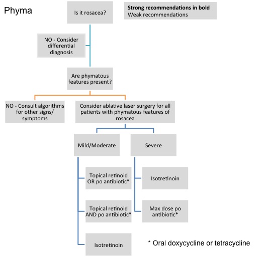 algorithm_phyma.jpg