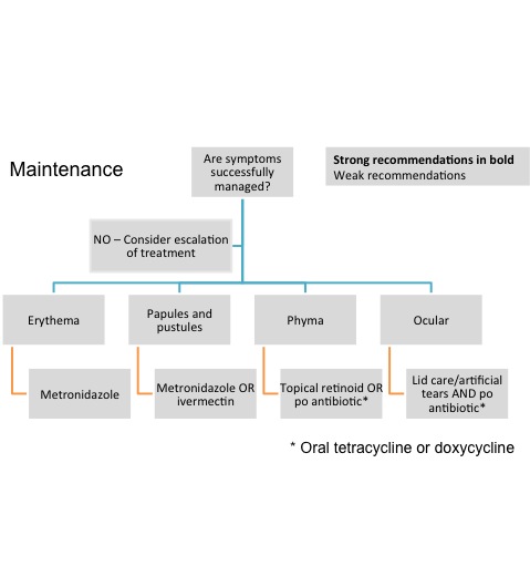algorithm_maintenance.jpg