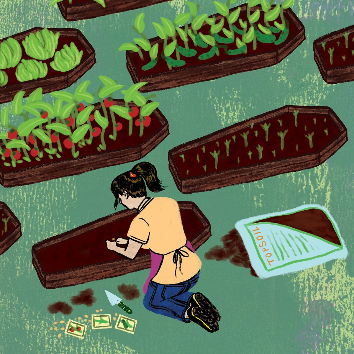 Turning a brown thumb green | Phoenix New Times Art Director: Tom Carlson