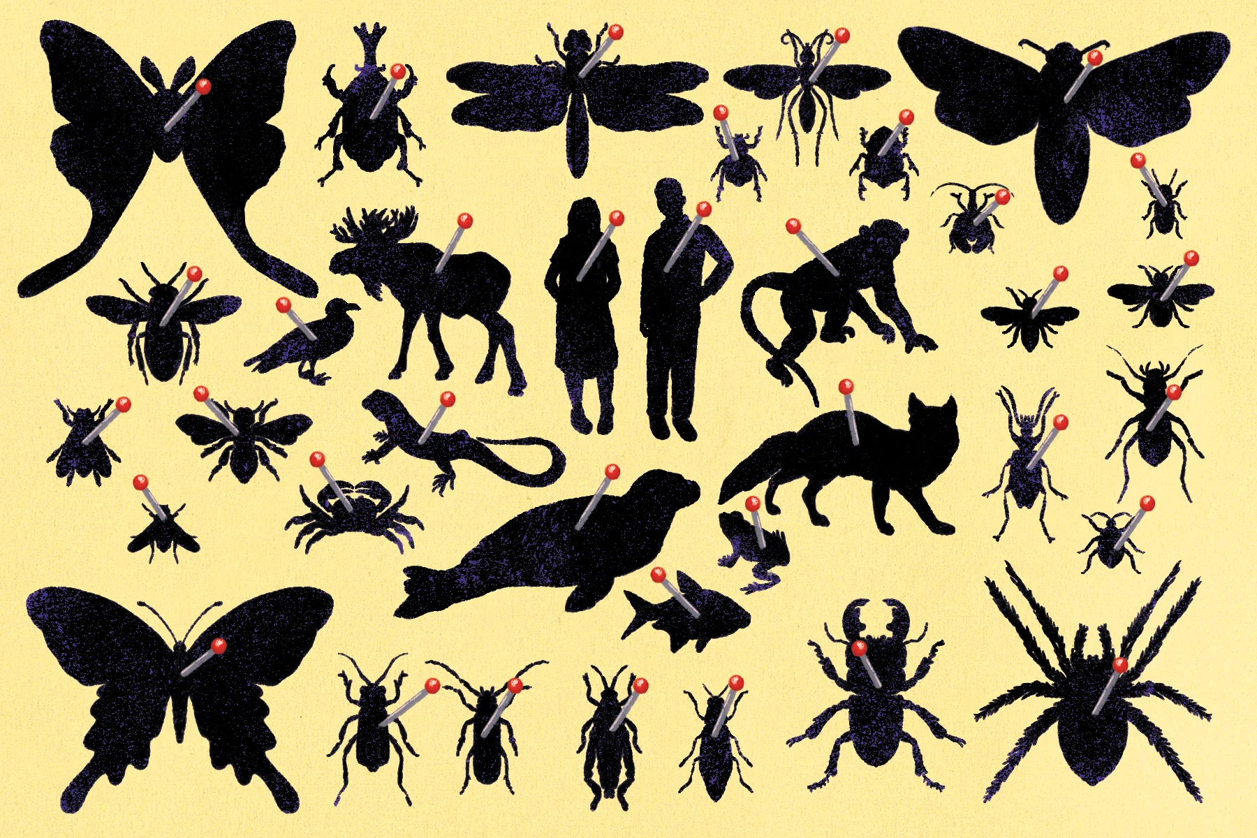 Washpost_OpEd_InsectApoc_V2_C_02.jpg