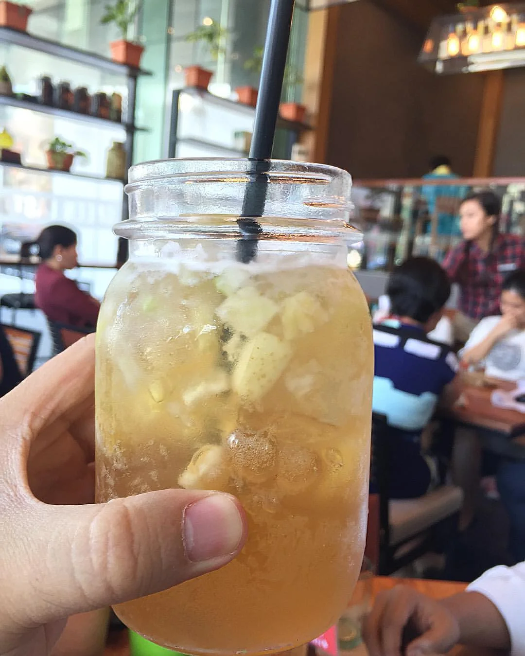 Kombucha Tea