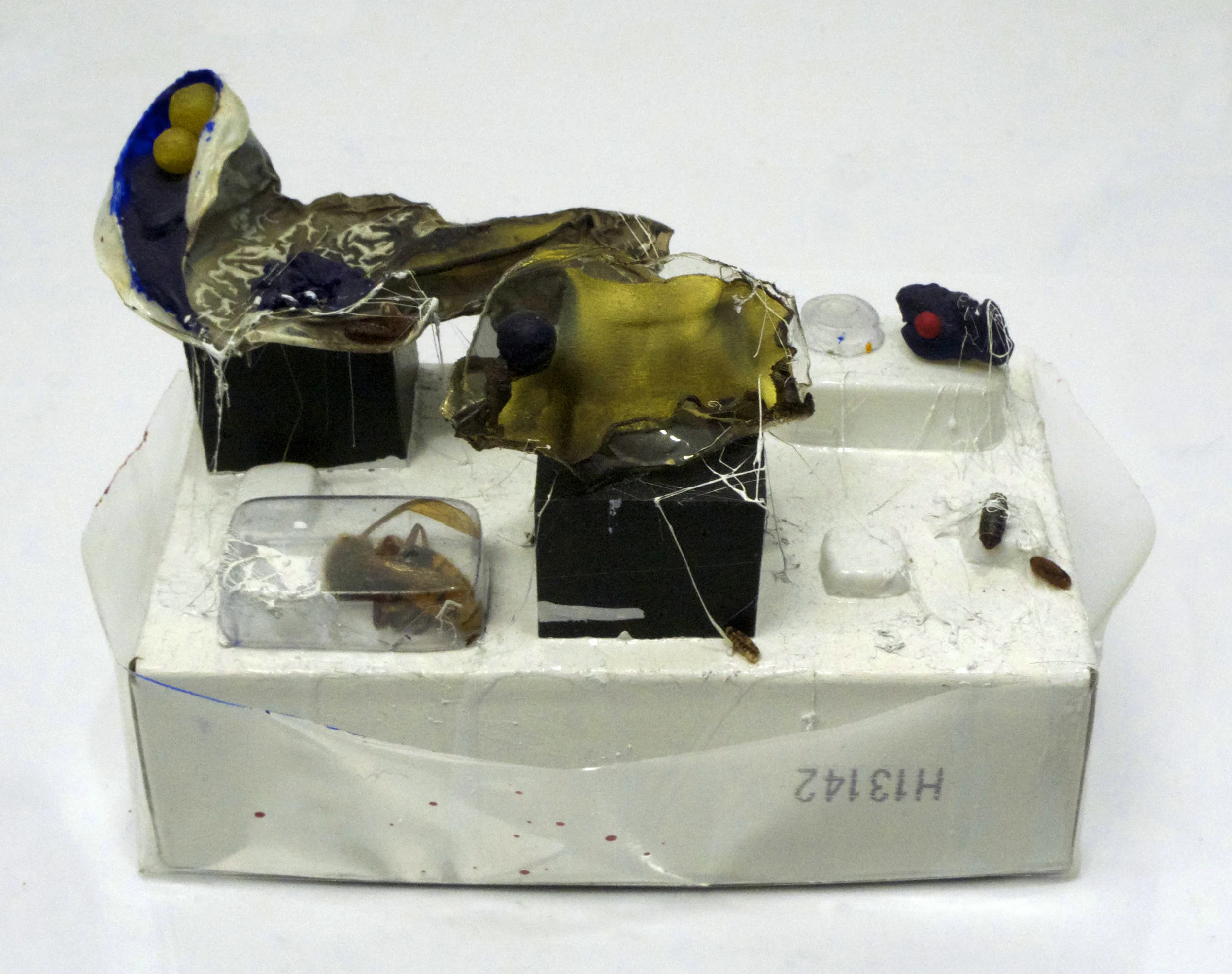 Untitled (Museum)