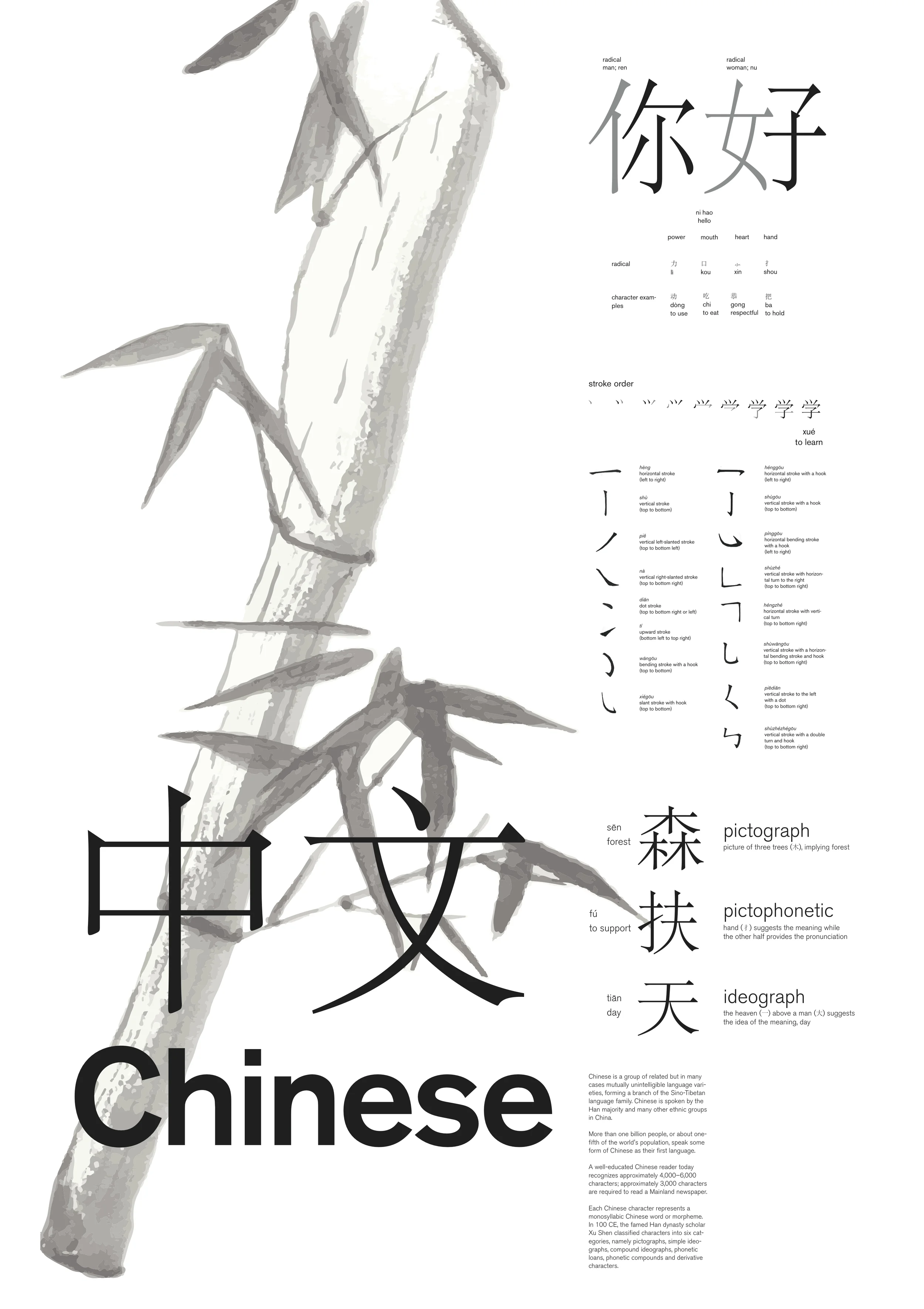 Chinese Visual Guide Final_Leah Corbett.jpg