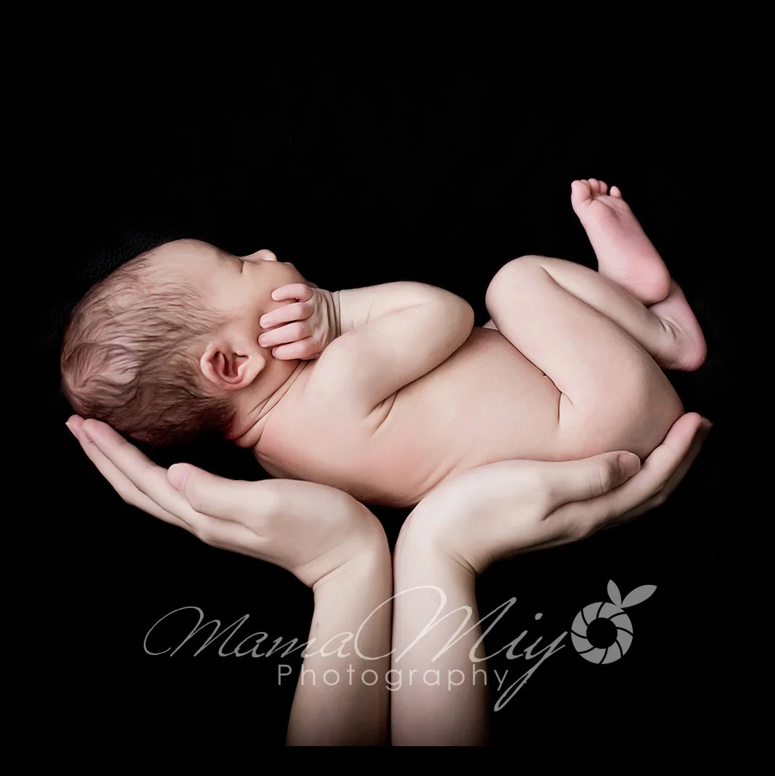 Side view of a sleeping newborn curled with legs raised while cradled in adult hands against a black backdrop