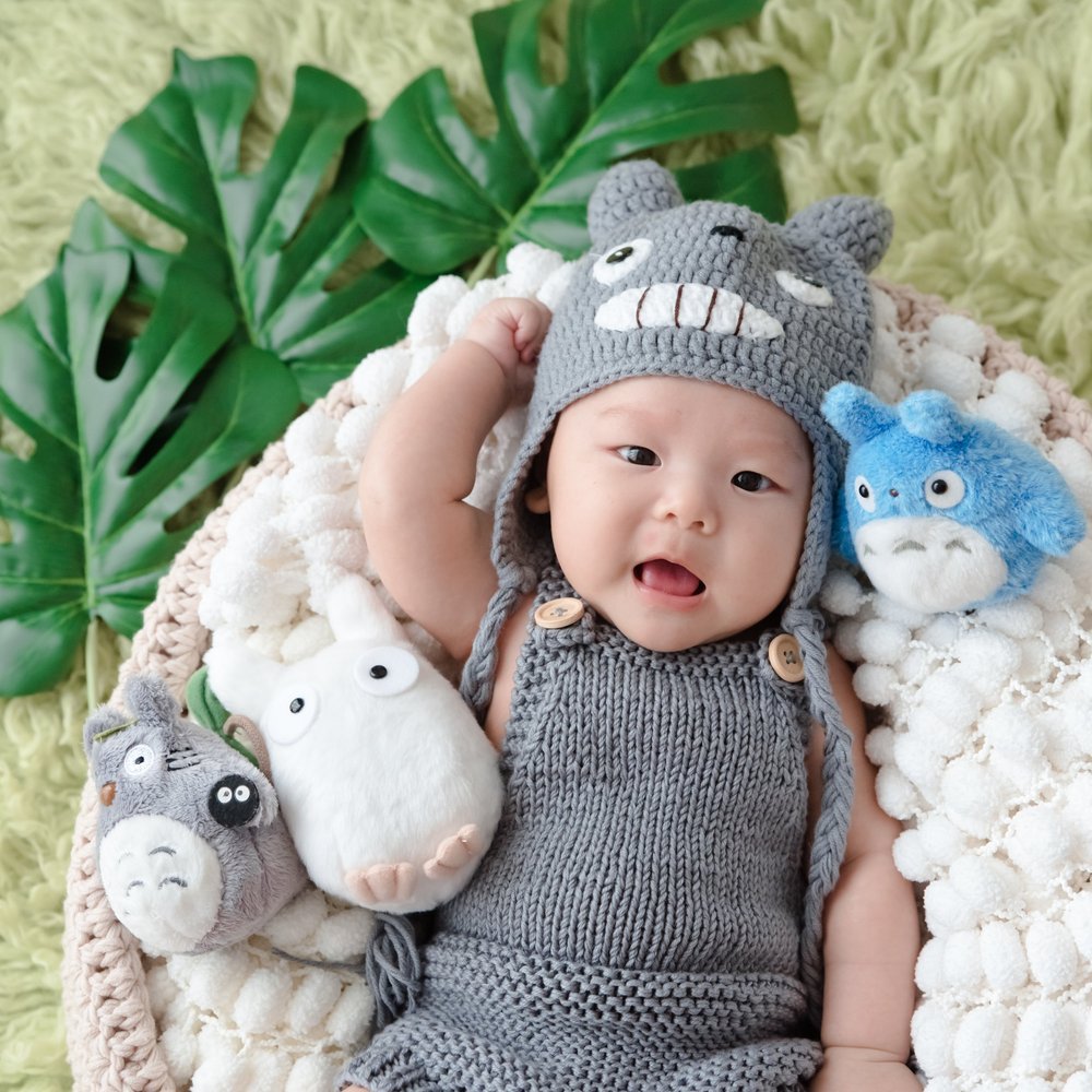 Baby reclining in a white-lined basket wearing a grey knitted Totoro-inspired bonnet and overalls beside plush toys and green leaves, photographed by Mamamiyo Photography in Singapore
