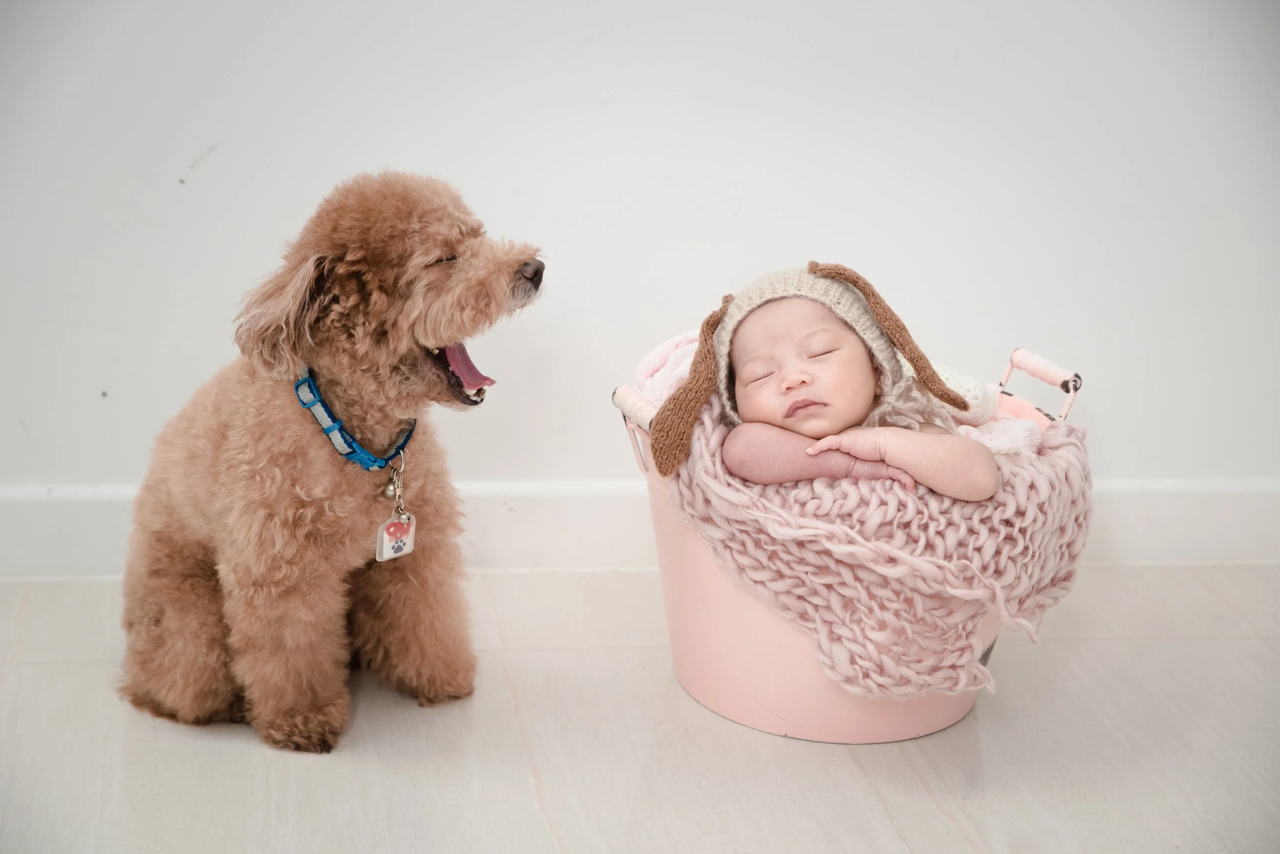 A brown dog sits beside a sleeping newborn in a pink basket — newborn photography with pet by Mamamiyo Photography in Singapore.