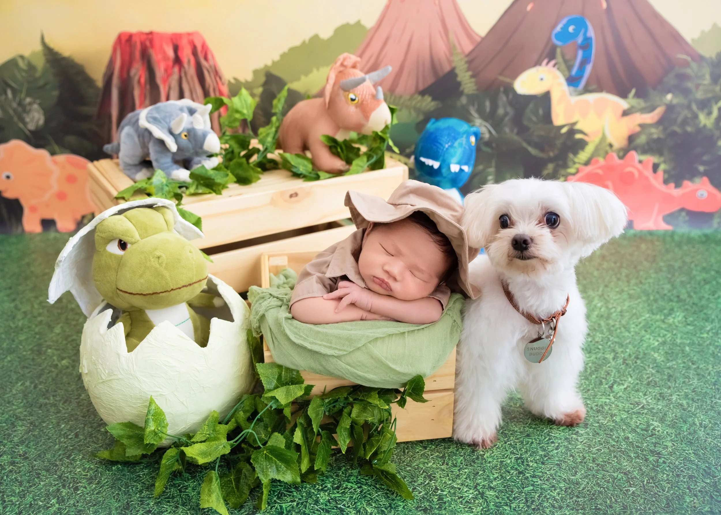 Newborn photography with pet dog by Mamamiyo Photography, Singapore: a sleeping baby beside a white dog in a dinosaur-themed setup.