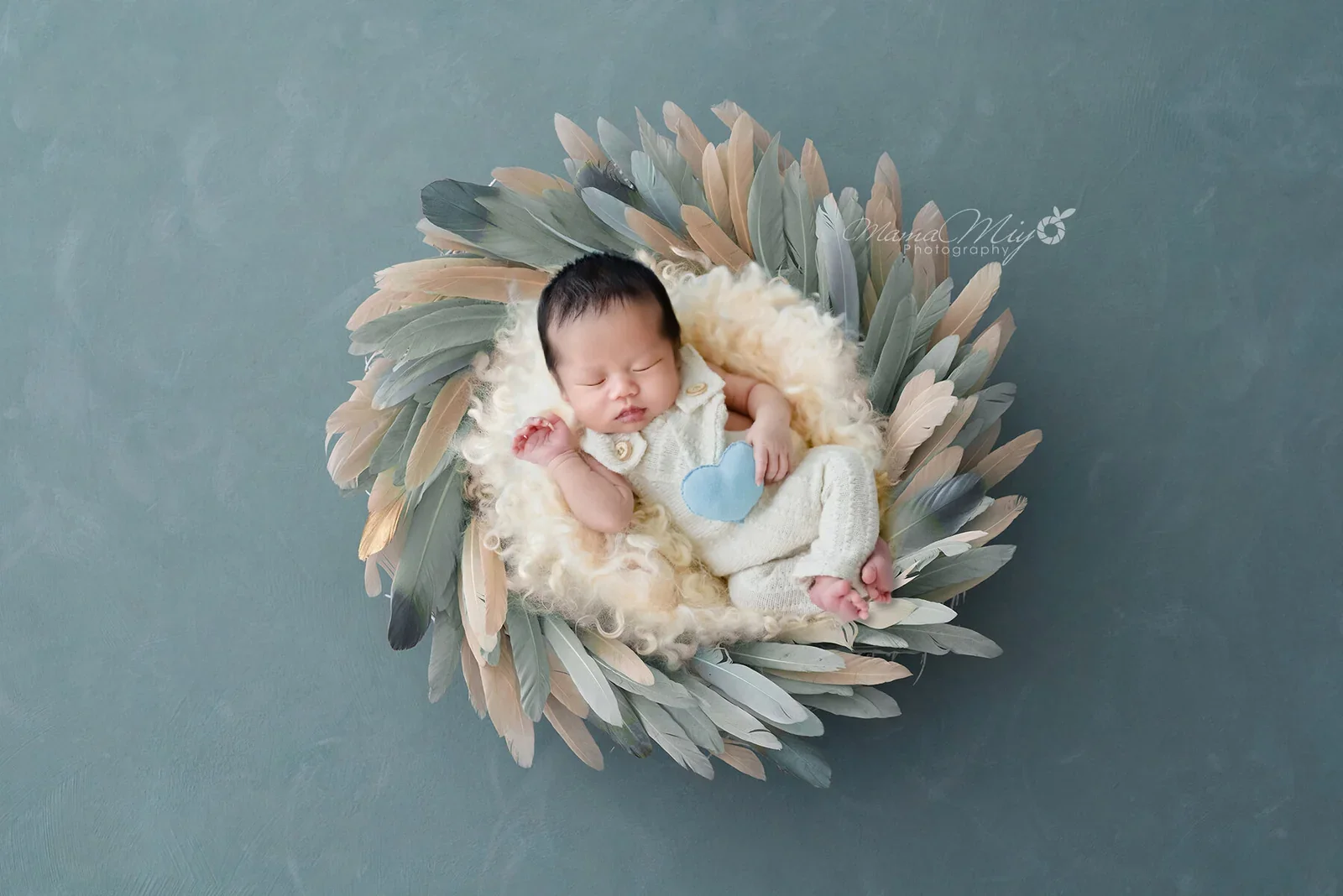 Sleeping newborn framed by a circular arrangement of digitally added feathers