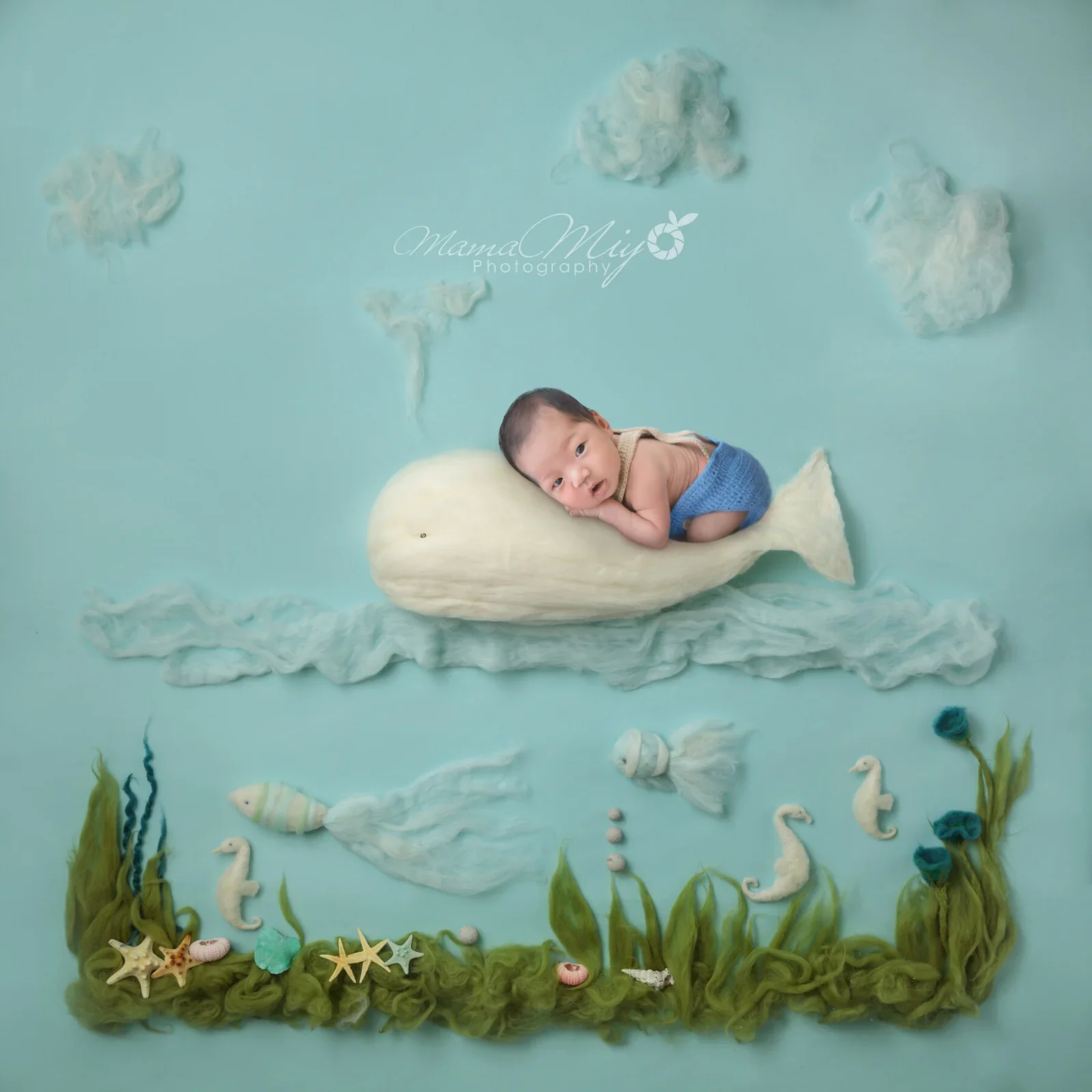 Awake newborn in a blue knitted outfit resting on a cream whale above sea plants in a digital underwater composition
