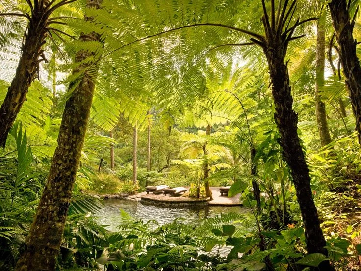 58053a3bcde8949e4835186eed5e712d comohotelsbali.jpg