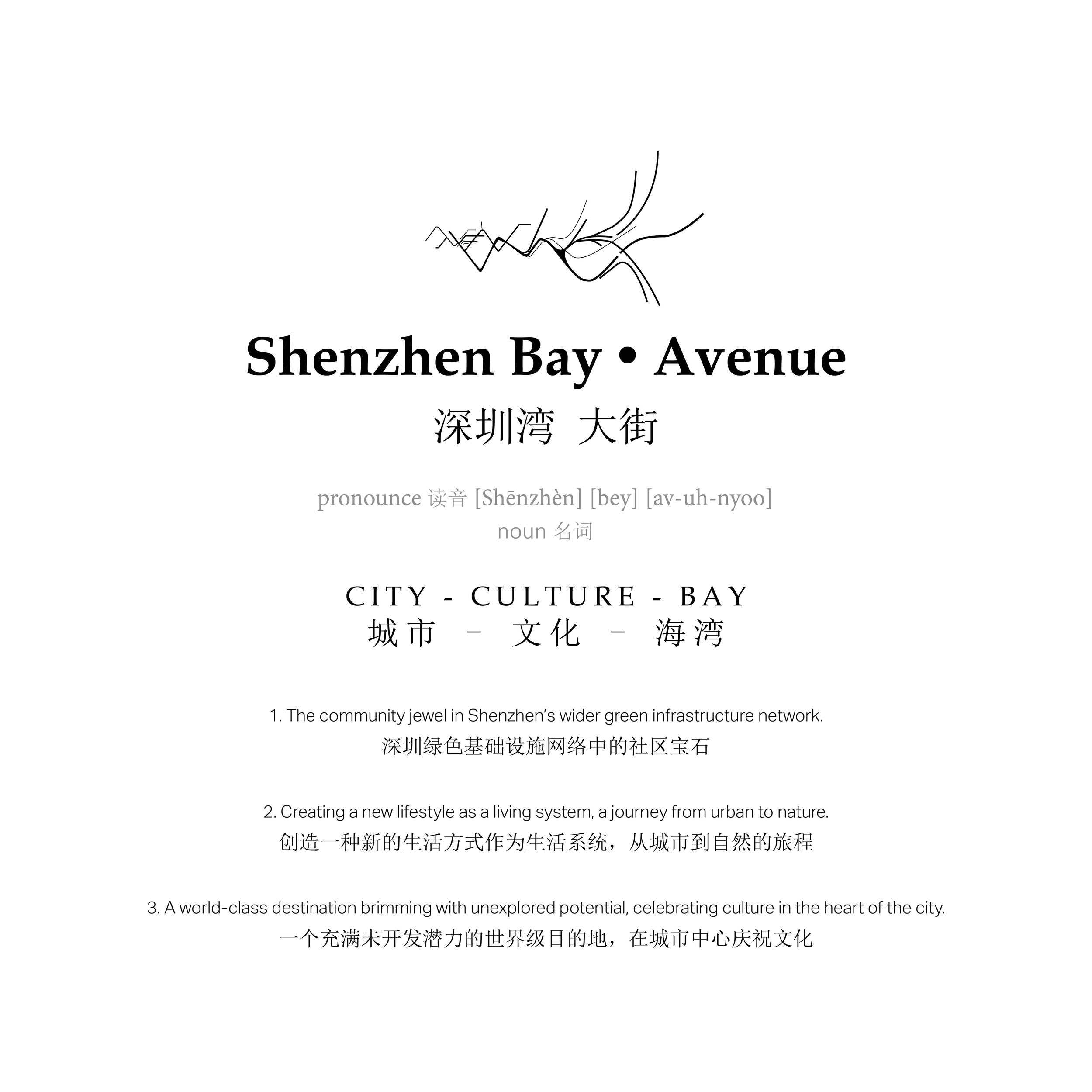 2_Shen Zhen Bay Vision.jpg