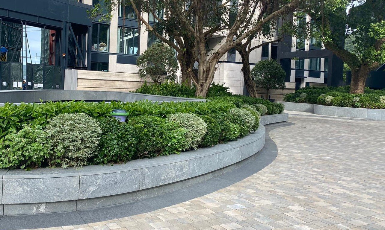 Morphis Peak Road Planting .jpeg