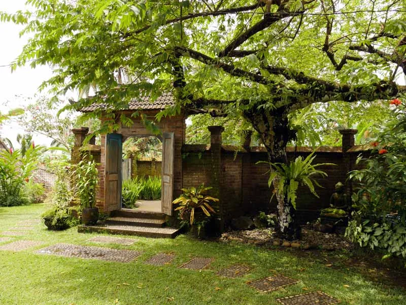 garden2.jpg