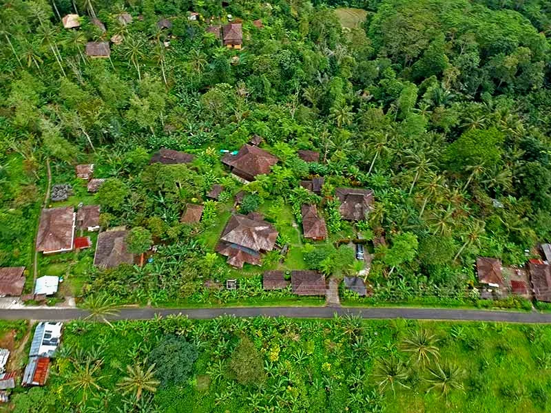 birdview-resort-1.jpg