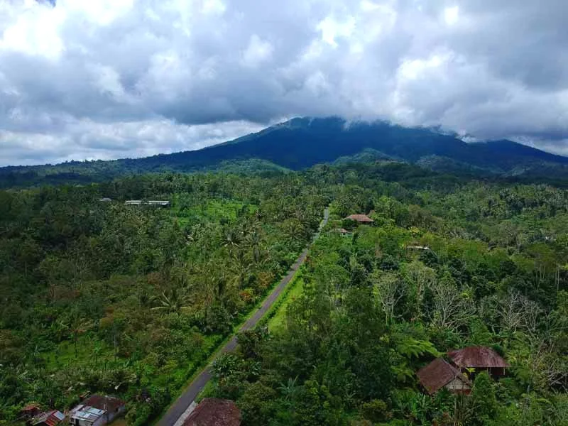 surounding-batukaru.jpg