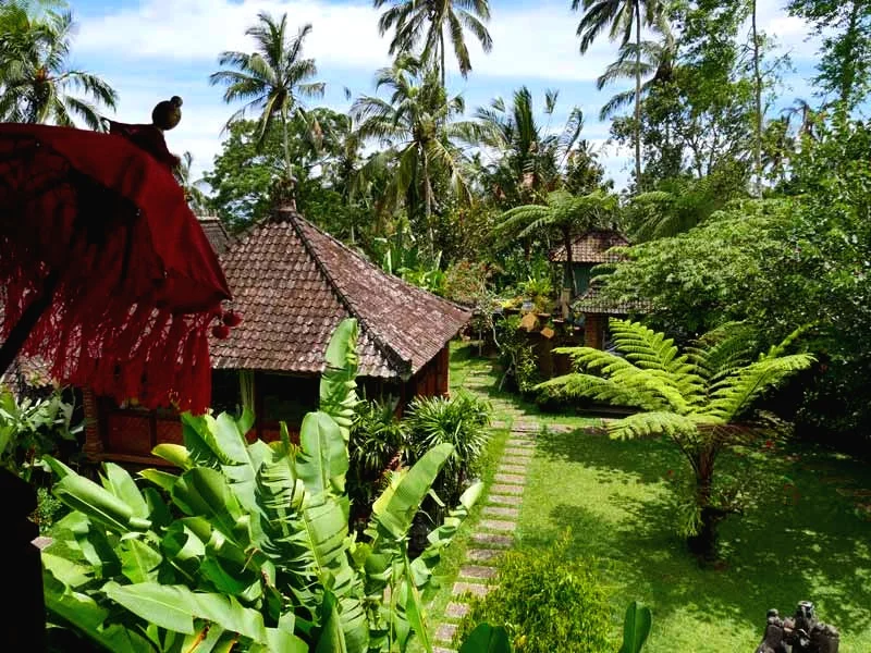 garden3.jpg