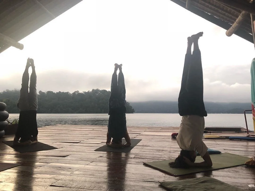 Every morning Sadhana we cover many Asana’s as well as meditation and Himalayan Kriyas!