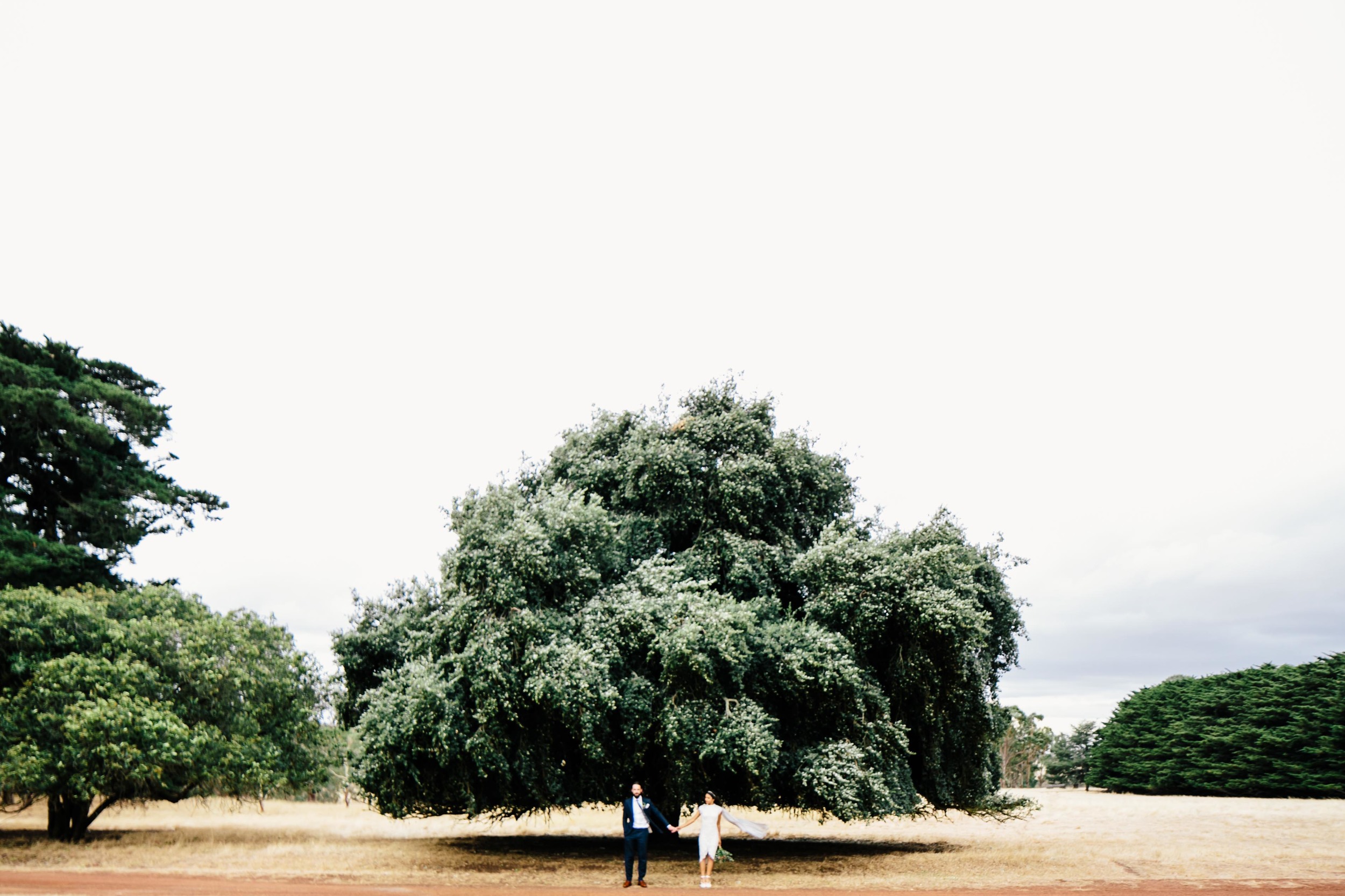 T&C_lowres-41-2.jpg