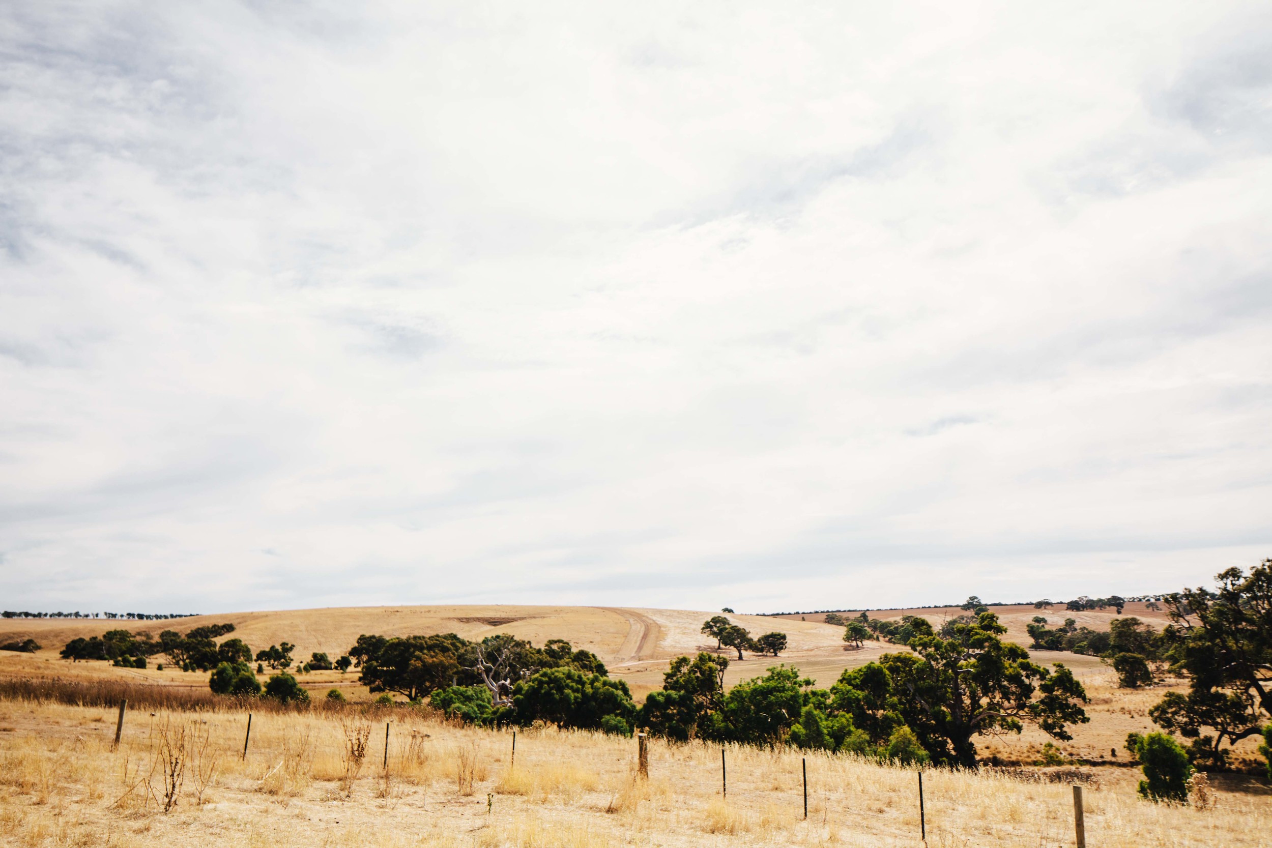T&C_lowres-2.jpg