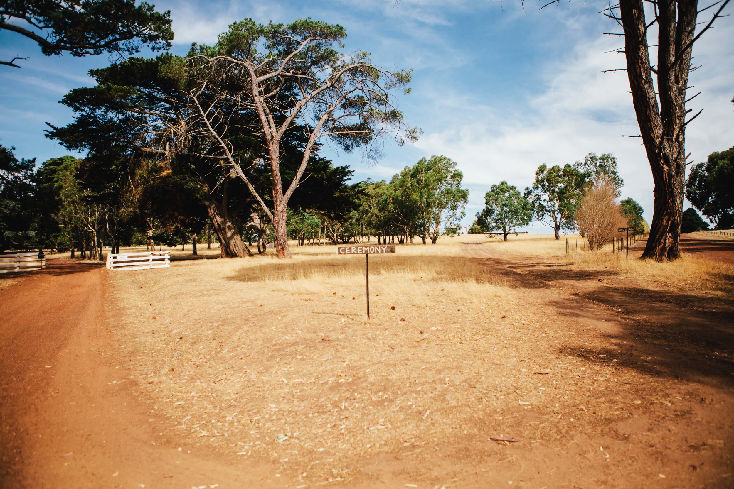 T&C_lowres-7.jpg