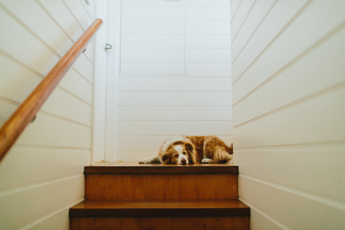 soph+pete-6.jpg
