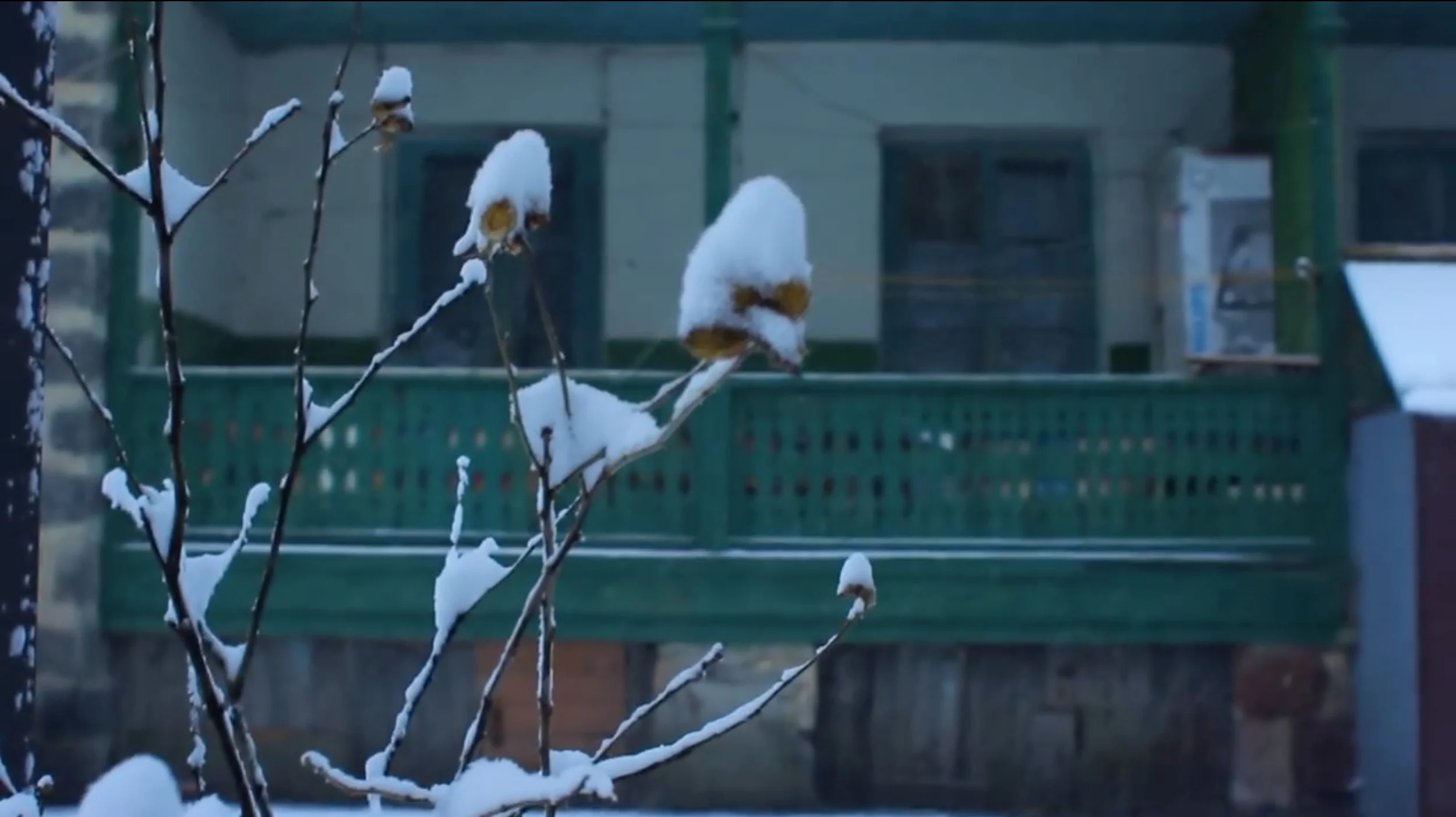 Screen Shot 2014-12-30 at 2.31.57 PM.JPG