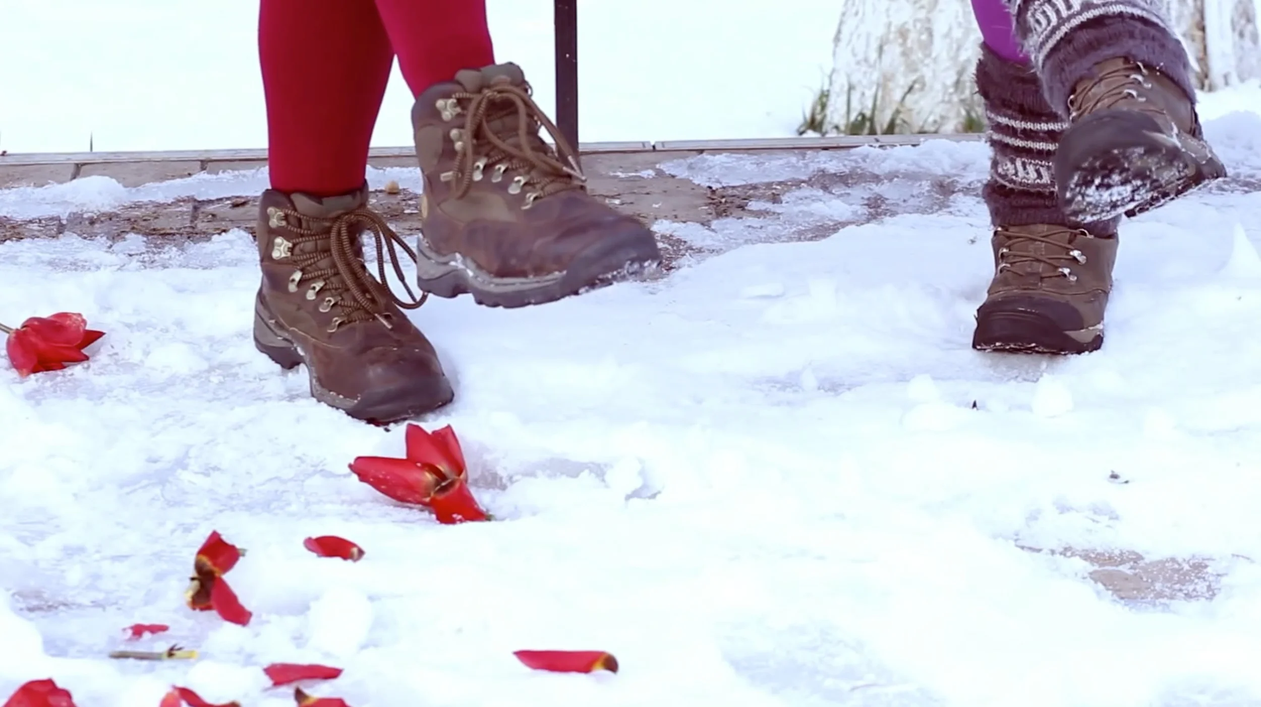 Screen Shot 2014-12-30 at 2.33.30 PM.JPG