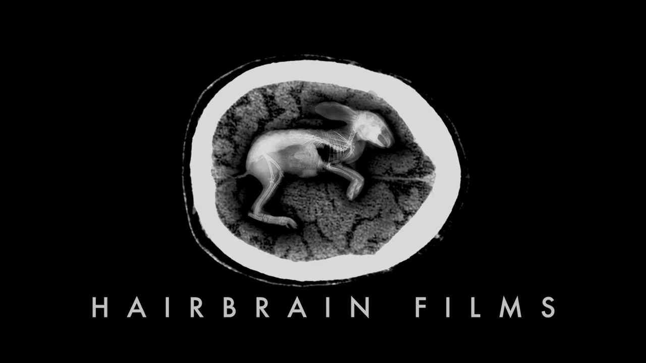 Hairbrain Films