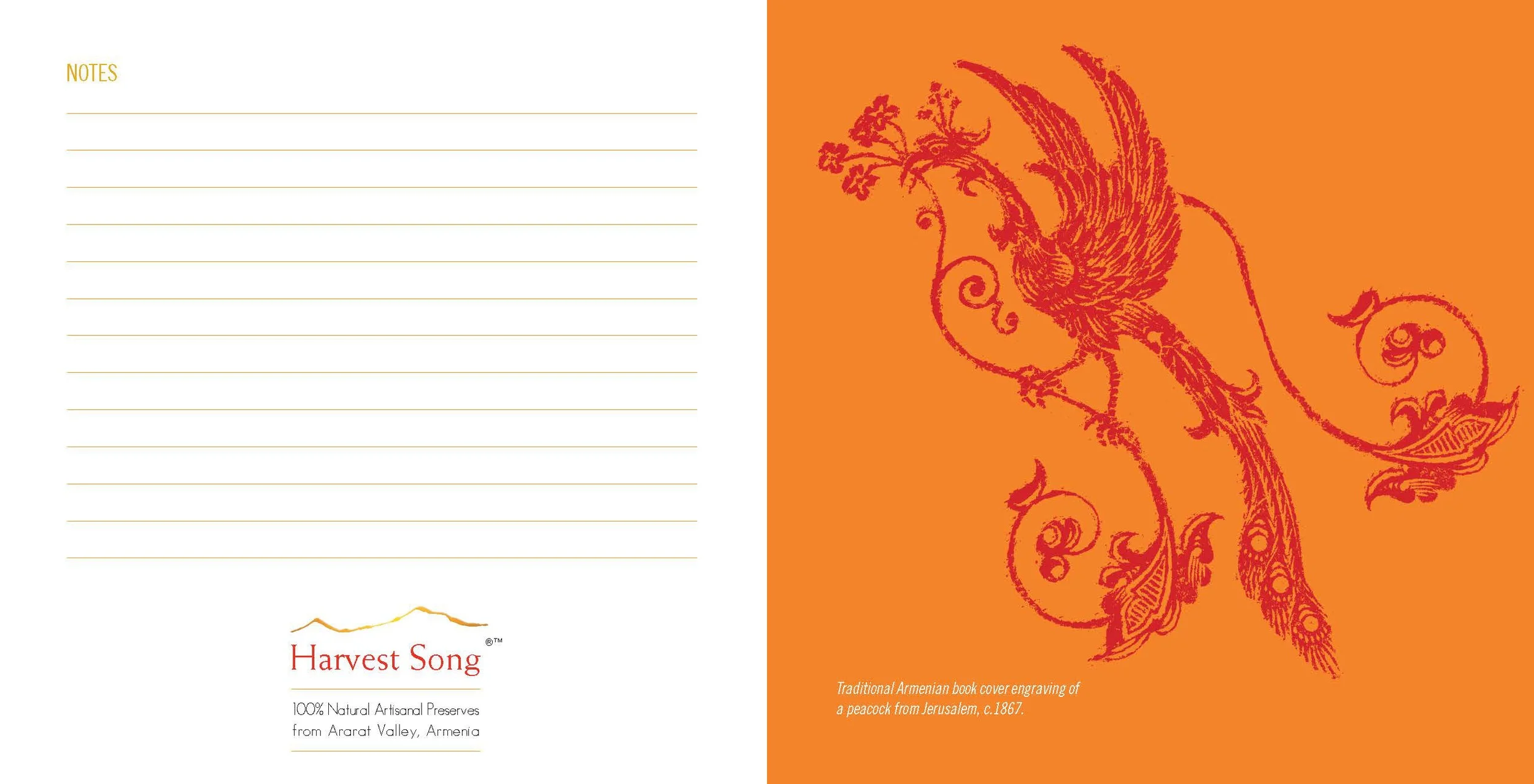 Brochure6.23.09Printable_Page_18.jpg