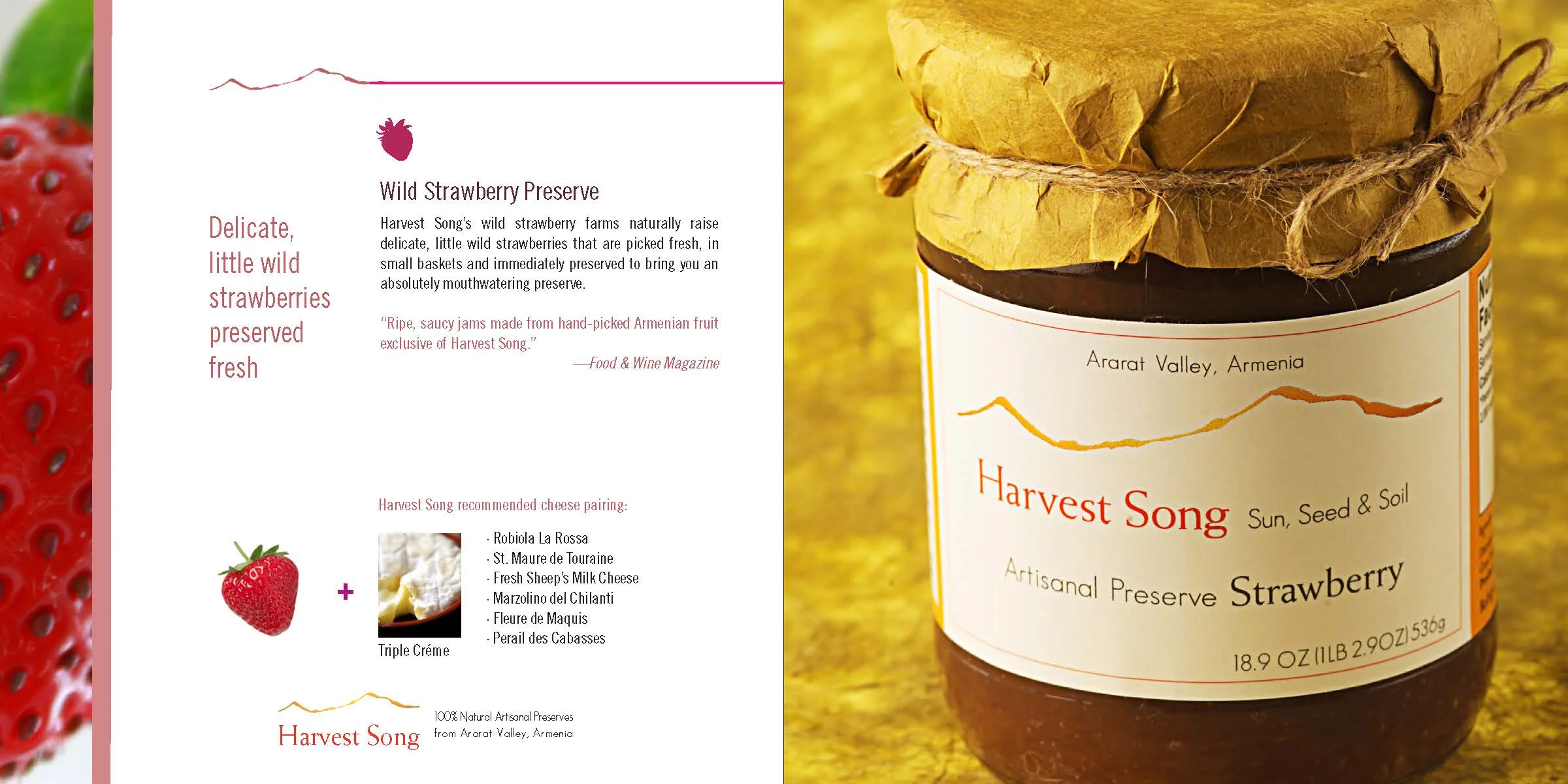 Brochure6.23.09Printable_Page_10.jpg