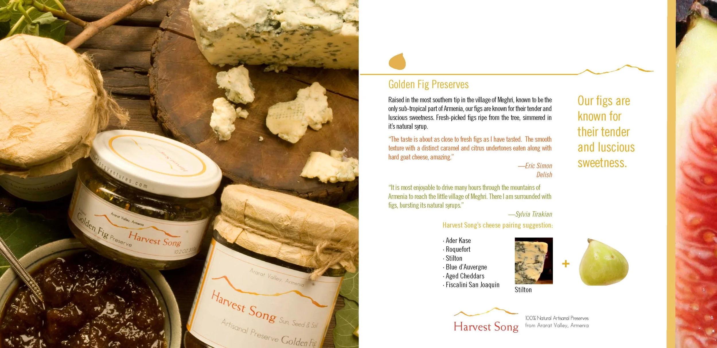 Brochure6.23.09Printable_Page_09.jpg