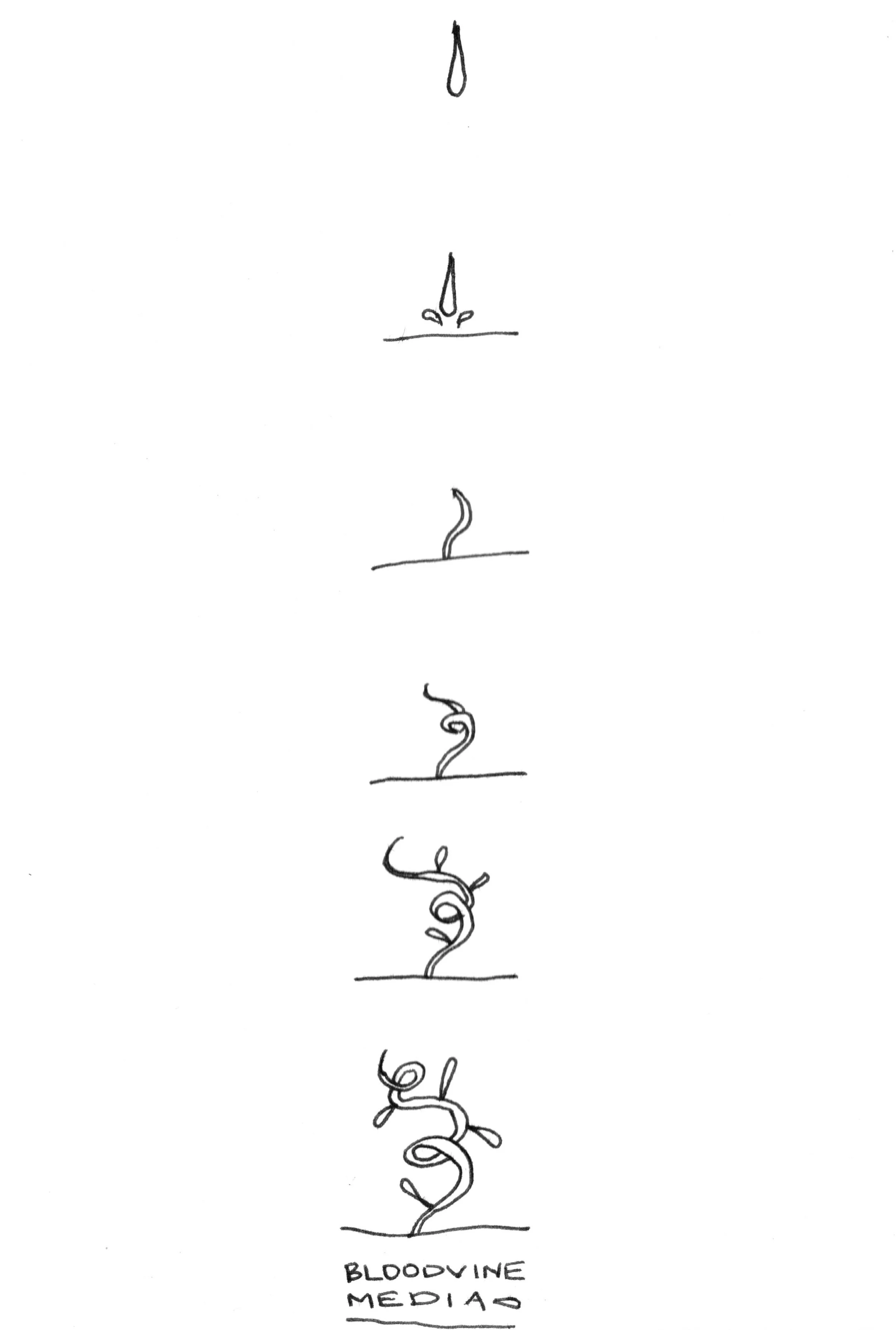 Bloodvine Media.jpeg