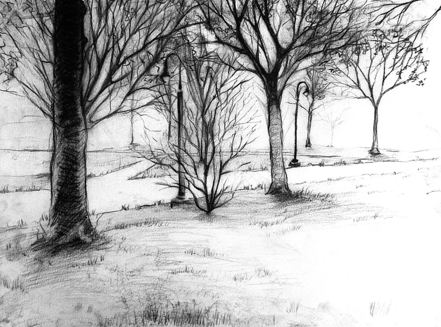 ParkLandscape.jpg