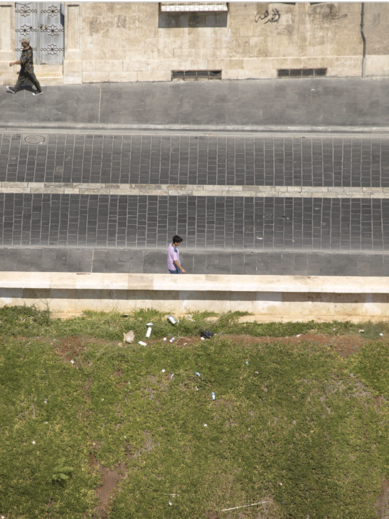 ARABIC LANGUAGE AS A WINDOW