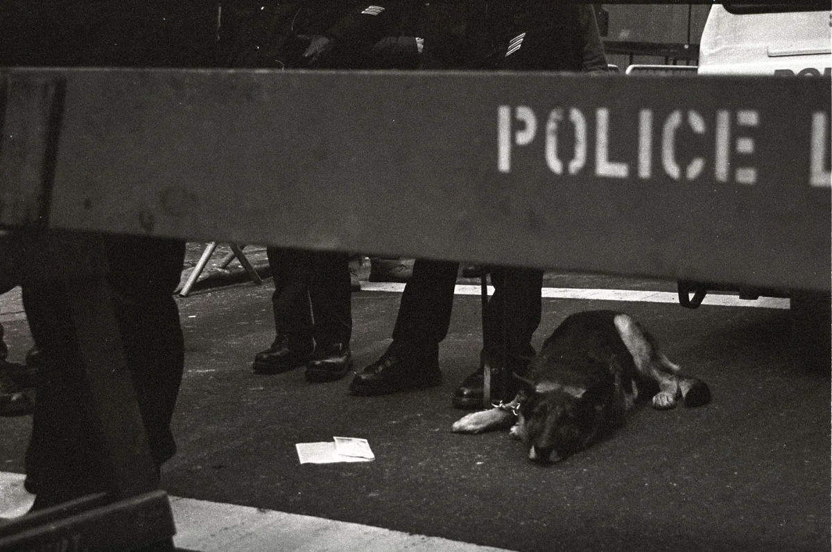 DogPolice.jpg