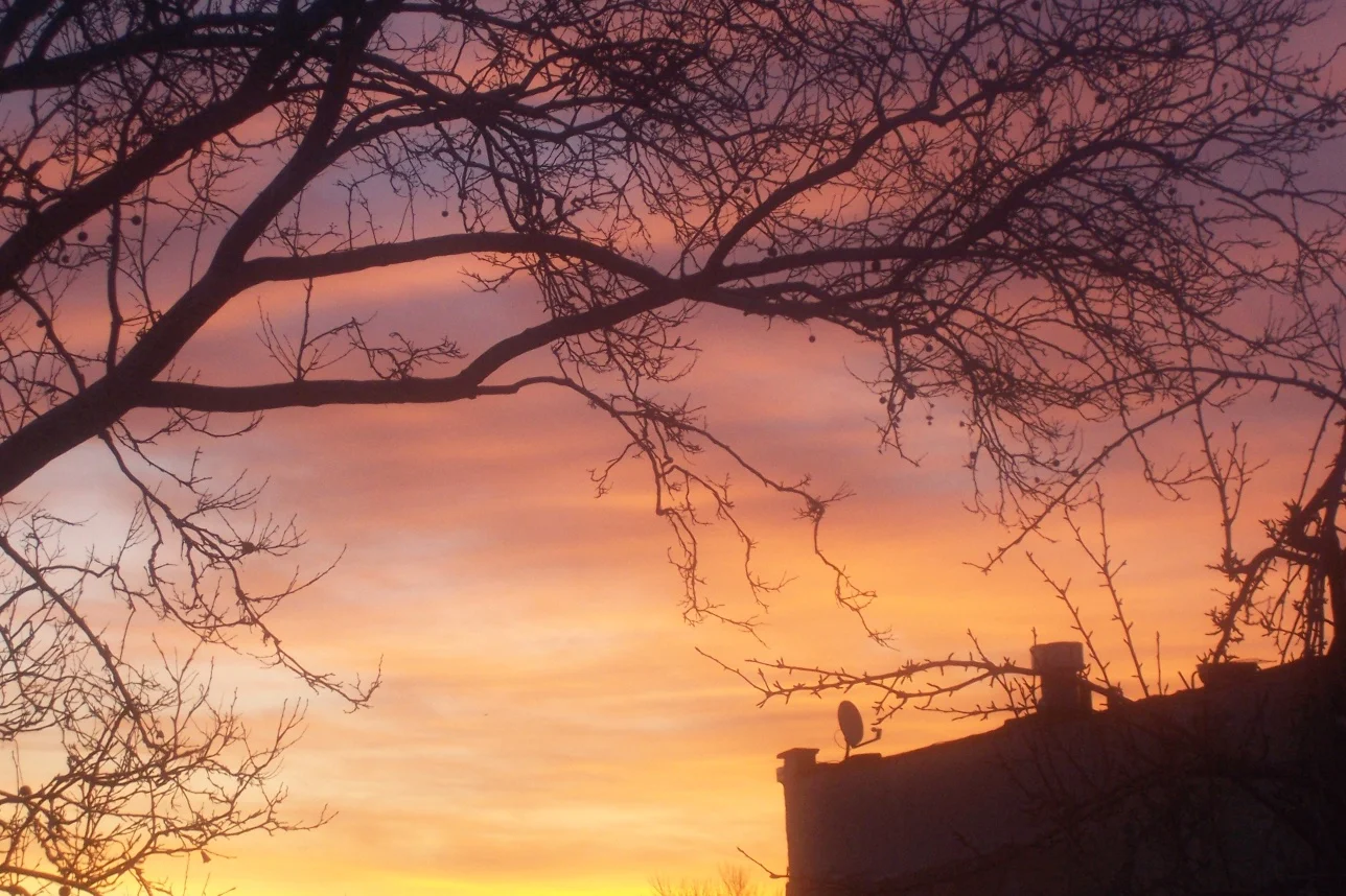 000_0188.jpg